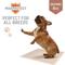 Show in main carousel: Chew + Heal Max Protect Plaid Reusable Dog Pee Pads, 34-in, 3 count slide 7 of 9