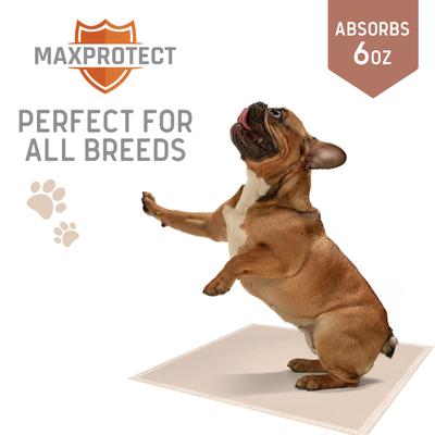 Show full view: Chew + Heal Max Protect Plaid Reusable Dog Pee Pads, 34-in, 3 count slide 7 of 9