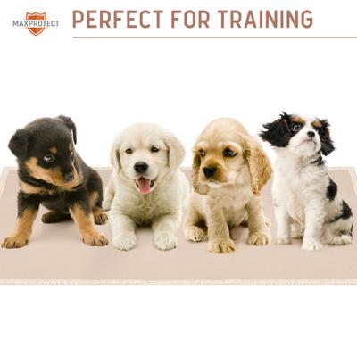 Show full view: Chew + Heal Max Protect Plaid Reusable Dog Pee Pads, 34-in, 3 count slide 8 of 9