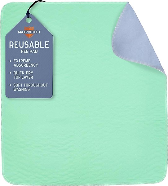 Show full view: Chew + Heal Max Protect Quick-Dry Reusable Dog Pee Pads, 34-in, 1 count slide 1 of 9