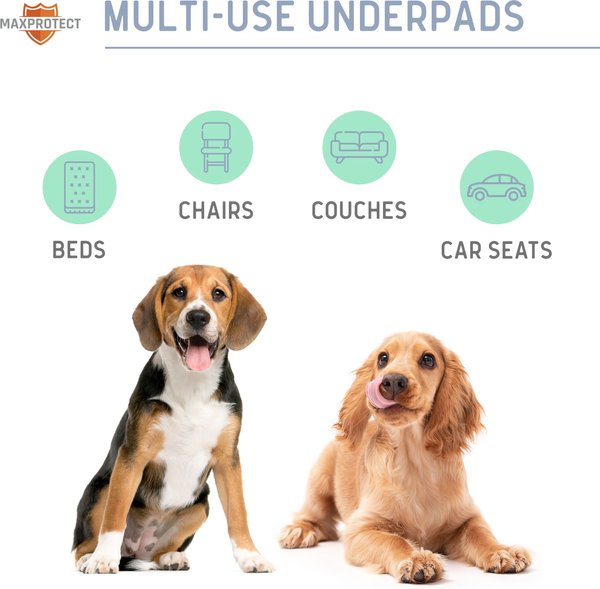 Show full view: Chew + Heal Max Protect Quick-Dry Reusable Dog Pee Pads, 34-in, 1 count slide 7 of 9