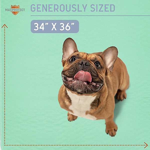 Show full view: Chew + Heal Max Protect Quick-Dry Reusable Dog Pee Pads, 34-in, 2 count slide 4 of 9