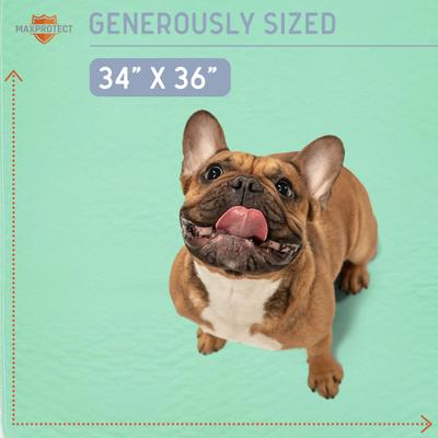 Show full view: Chew + Heal Max Protect Quick-Dry Reusable Dog Pee Pads, 34-in, 2 count slide 4 of 9