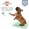 Show in main carousel: Chew + Heal Max Protect Quick-Dry Reusable Dog Pee Pads, 34-in, 2 count slide 5 of 9