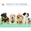 Show in main carousel: Chew + Heal Max Protect Quick-Dry Reusable Dog Pee Pads, 34-in, 2 count slide 8 of 9