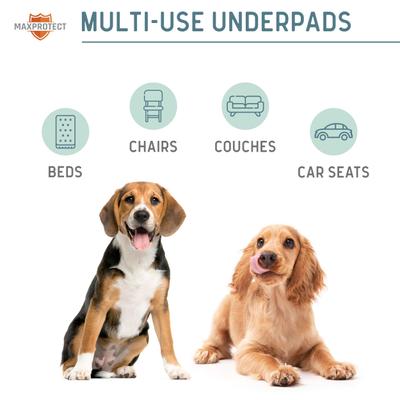Show full view: Chew + Heal Max Protect Reusable Dog Pee Pads, 18-in, 2 count slide 8 of 8
