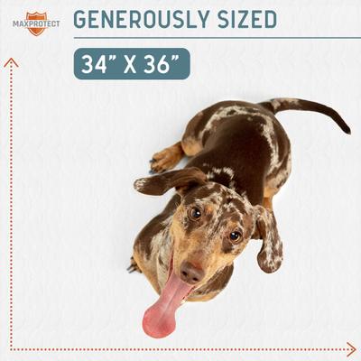 Show full view: Chew + Heal Max Protect Reusable Dog Pee Pads, 34-in, 1 count slide 5 of 8