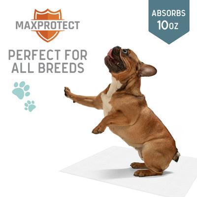 Show full view: Chew + Heal Max Protect Reusable Dog Pee Pads, 34-in, 2 count slide 3 of 8