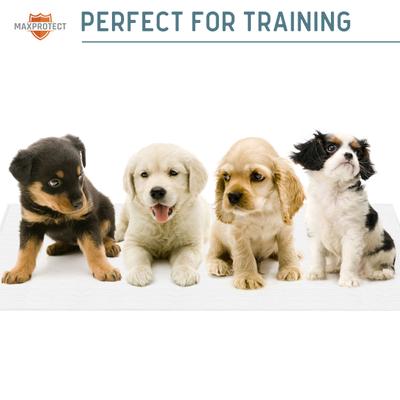 Show full view: Chew + Heal Max Protect Reusable Dog Pee Pads, 34-in, 2 count slide 8 of 8