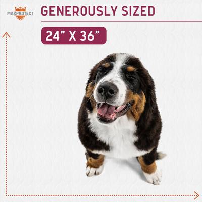 Show full view: Chew + Heal Max Protect Softies Reusable Dog Pee Pads, 24x36-in, 1 count slide 7 of 9