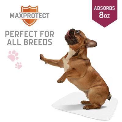 Show full view: Chew + Heal Max Protect Softies Reusable Dog Pee Pads, 34x36-in, 1 count slide 5 of 10