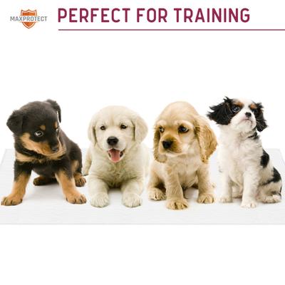 Show full view: Chew + Heal Max Protect Softies Reusable Dog Pee Pads, 34x36-in, 3 count slide 8 of 10