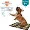 Show in main carousel: Chew + Heal Max Protect Tartan Plaid Patterned Reusable Dog Pee Pads, 18-in, 3 count slide 6 of 8