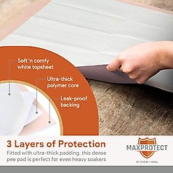 Chew + Heal Max Protect Ultra Absorbent Dog Potty Pads, 30 x 36-in, 25 pack slide 2 of 8