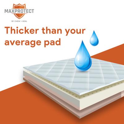 Show full view: Chew + Heal Max Protect Ultra Absorbent Dog Potty Pads, 30 x 36-in, 25 pack slide 3 of 8