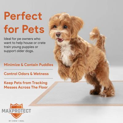 Show full view: Chew + Heal Max Protect Ultra Absorbent Dog Potty Pads, 30 x 36-in, 25 pack slide 4 of 8