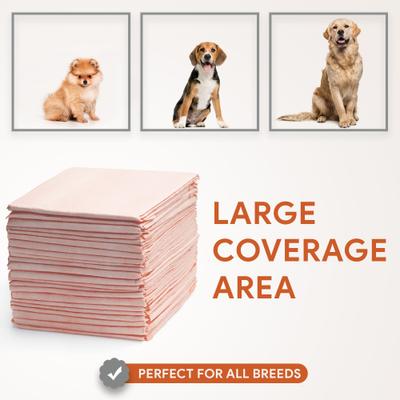 Show full view: Chew + Heal Max Protect Ultra Absorbent Dog Potty Pads, 30 x 36-in, 25 pack slide 5 of 8