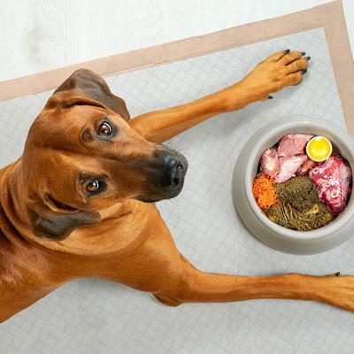 Show full view: Chew + Heal Max Protect Ultra Absorbent Dog Potty Pads, 30 x 36-in, 25 pack slide 6 of 8