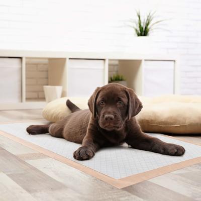 Show full view: Chew + Heal Max Protect Ultra Absorbent Dog Potty Pads, 30 x 36-in, 25 pack slide 8 of 8