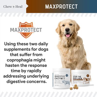Show full view: Chew + Heal MaxProtect Coprophagia & Digestive Soft Chew Supplement for Dogs, 240 count slide 3 of 10