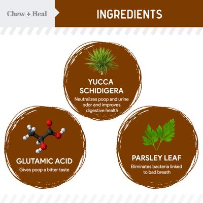 Show full view: Chew + Heal MaxProtect Coprophagia & Digestive Soft Chew Supplement for Dogs, 240 count slide 4 of 10