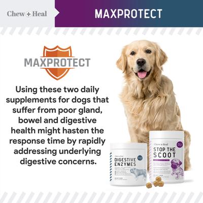 Show full view: Chew + Heal MaxProtect Digestive & Scoot + Heal Bowel Health & Digestive Support Soft Chew Supplement for Dogs, 240 count slide 3 of 10