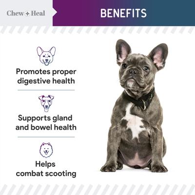Show full view: Chew + Heal MaxProtect Digestive & Scoot + Heal Bowel Health & Digestive Support Soft Chew Supplement for Dogs, 240 count slide 6 of 10