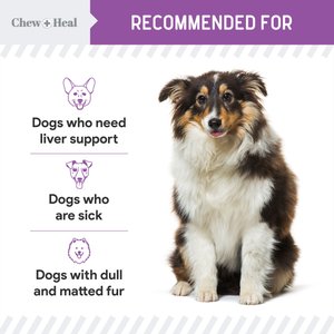 Chew + Heal Milk Thistle Tincture with Moringa Oil & Salmon Oil Liquid Kidney & Liver Health Supplement for Dogs, 2-fl oz bottle