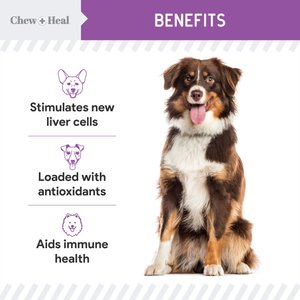 Chew + Heal Milk Thistle Tincture with Moringa Oil & Salmon Oil Liquid Kidney & Liver Health Supplement for Dogs, 2-fl oz bottle