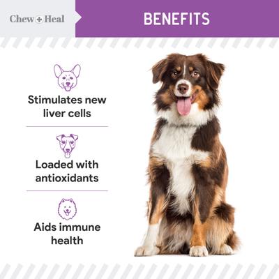 Show full view: Chew + Heal Milk Thistle Tincture with Moringa Oil & Salmon Oil Liquid Kidney & Liver Health Supplement for Dogs, 2-fl oz bottle slide 9 of 11