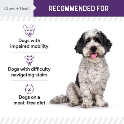 Show full view: Chew + Heal Mobility Wild Alaskan Salmon Limited Ingredient Soft Jerky Dog Treats, 5-oz bag slide 8 of 11