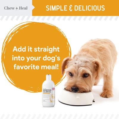 Show full view: Chew + Heal Norwegian Salmon Oil Skin & Coat Supplement for Dogs & Cats, 8-fl oz bottle slide 4 of 11