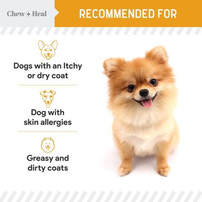 Show full view: Chew + Heal Norwegian Salmon Oil Skin & Coat Supplement for Dogs & Cats, 8-fl oz bottle slide 8 of 11