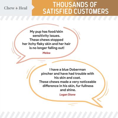 Show full view: Chew + Heal Omega Skin + Coat 60 Original & 180 Peanut Butter Flavored Soft Chew Bundle Supplement for Dogs, 240 count slide 4 of 9