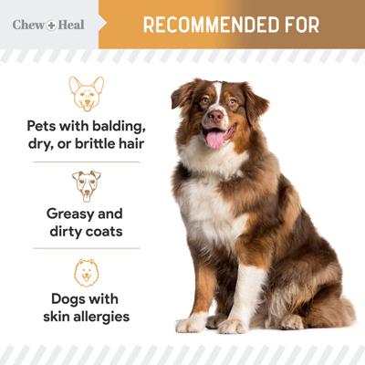 Show full view: Chew + Heal Omega Skin + Coat 60 Original & 180 Peanut Butter Flavored Soft Chew Bundle Supplement for Dogs, 240 count slide 5 of 9