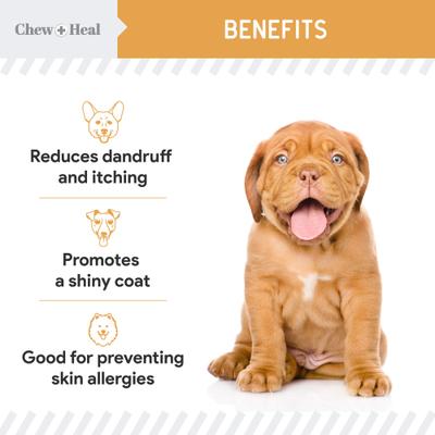 Show full view: Chew + Heal Omega Skin + Coat Dog Supplement, 1-pack, 180 count slide 4 of 11