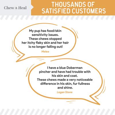 Show full view: Chew + Heal Omega Skin + Coat Dog Supplement, 1-pack, 180 count slide 5 of 11