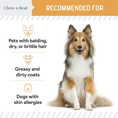 Show full view: Chew + Heal Omega Skin + Coat Dog Supplement, 1-pack, 180 count slide 6 of 11