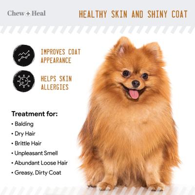 Show full view: Chew + Heal Omega Skin + Coat Dog Supplement, 2 pack, 120 count slide 6 of 10
