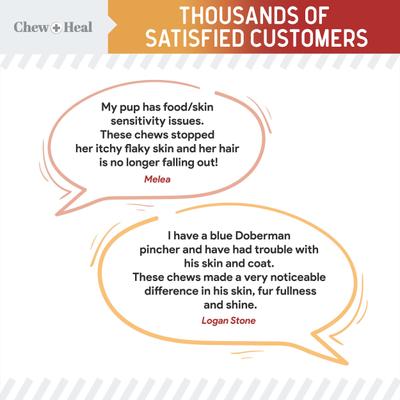 Show full view: Chew + Heal Omega Skin + Coat Smoked Bacon & Peanut Butter Flavored Soft Chew Bundle Supplement for Dogs, 360 count slide 4 of 9