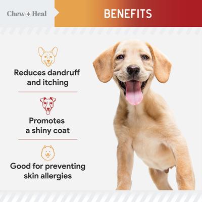Show full view: Chew + Heal Omega Skin + Coat Smoked Bacon & Peanut Butter Flavored Soft Chew Bundle Supplement for Dogs, 360 count slide 6 of 9