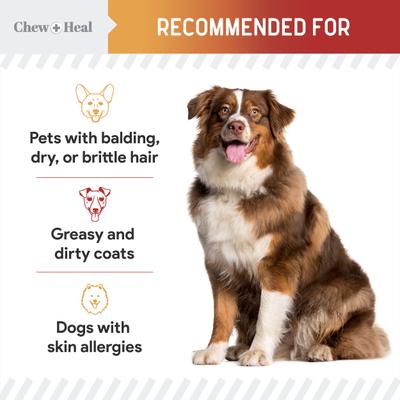 Show full view: Chew + Heal Omega Skin + Coat Smoked Bacon & Peanut Butter Flavored Soft Chew Bundle Supplement for Dogs, 360 count slide 5 of 9