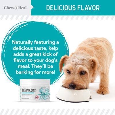 Show full view: Chew + Heal Organic Kelp Marine Superfood Granules Dental Supplement for Dogs, 16-oz jar slide 4 of 11