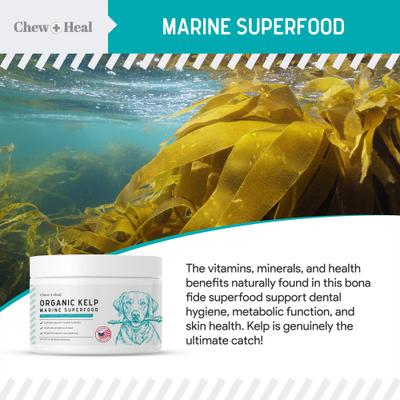 Show full view: Chew + Heal Organic Kelp Marine Superfood Granules Dental Supplement for Dogs, 16-oz jar slide 5 of 11