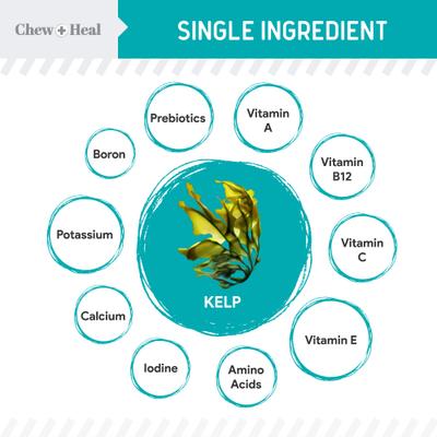Show full view: Chew + Heal Organic Kelp Marine Superfood Granules Dental Supplement for Dogs, 16-oz jar slide 3 of 11