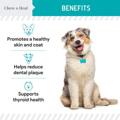Show full view: Chew + Heal Organic Kelp Marine Superfood Granules Dental Supplement for Dogs, 4-oz jar slide 6 of 10