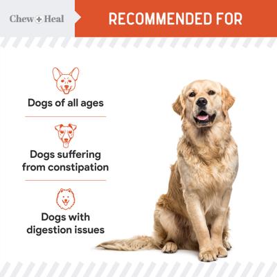 Show full view: Chew + Heal Organic Pumpkin Digestive Defense Superfood Blend Powder Digestive Aid Supplement for Dogs, 16-oz jar slide 9 of 11