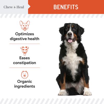 Show full view: Chew + Heal Organic Pumpkin Digestive Defense Superfood Blend Powder Digestive Aid Supplement for Dogs, 16-oz jar slide 7 of 11