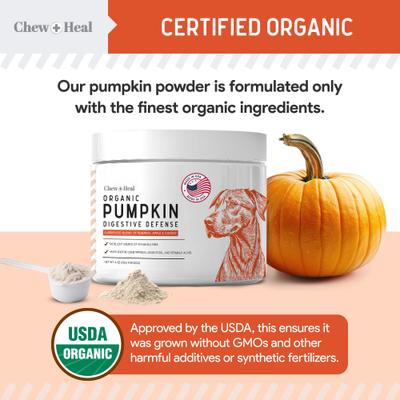 Show full view: Chew + Heal Organic Pumpkin Digestive Defense Superfood Blend Powder Digestive Aid Supplement for Dogs, 16-oz jar slide 6 of 11