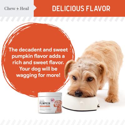 Show full view: Chew + Heal Organic Pumpkin Digestive Defense Superfood Blend Powder Digestive Aid Supplement for Dogs, 16-oz jar slide 4 of 11